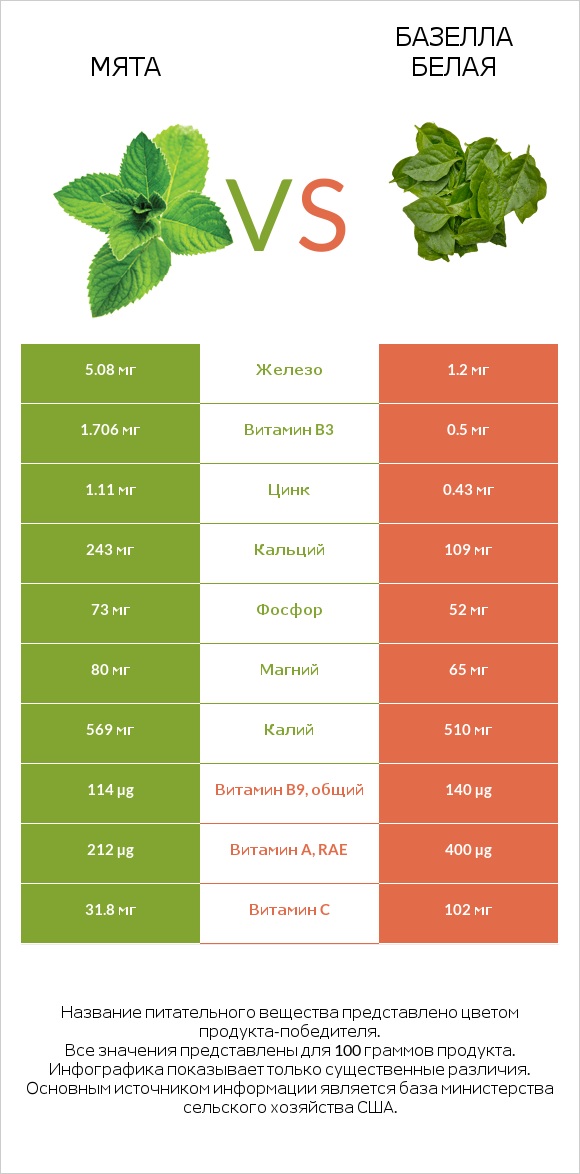 Мята vs Базелла белая infographic