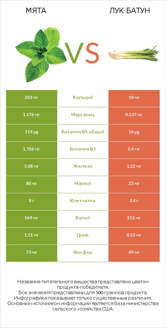 Мята vs Лук-батун infographic