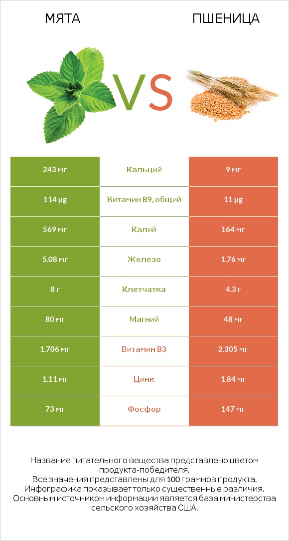 Мята vs Пшеница infographic