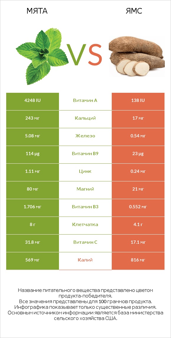 Мята vs Ямс infographic