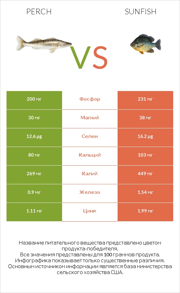 Perch vs Sunfish infographic