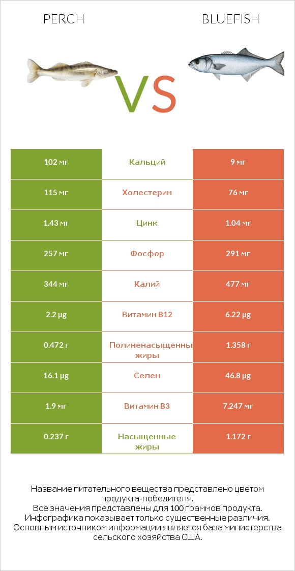 Perch vs Bluefish infographic