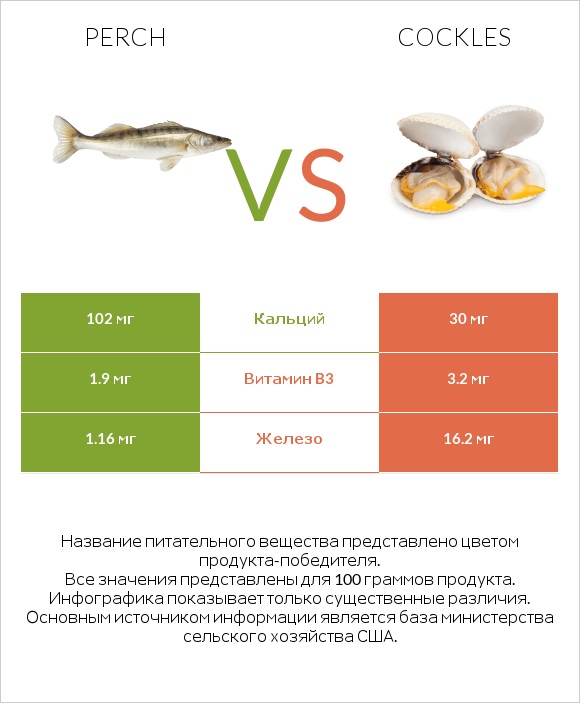 Perch vs Cockles infographic