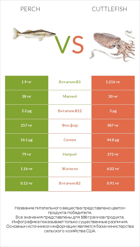 Perch vs Cuttlefish infographic