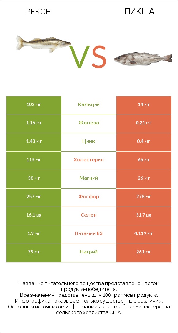 Perch vs Пикша infographic