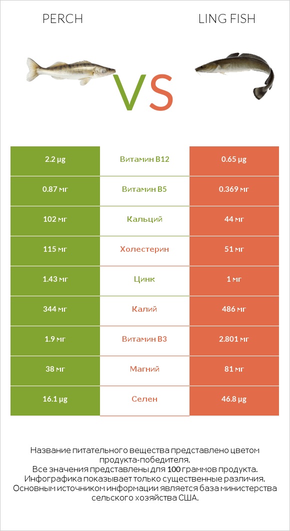 Perch vs Ling fish infographic