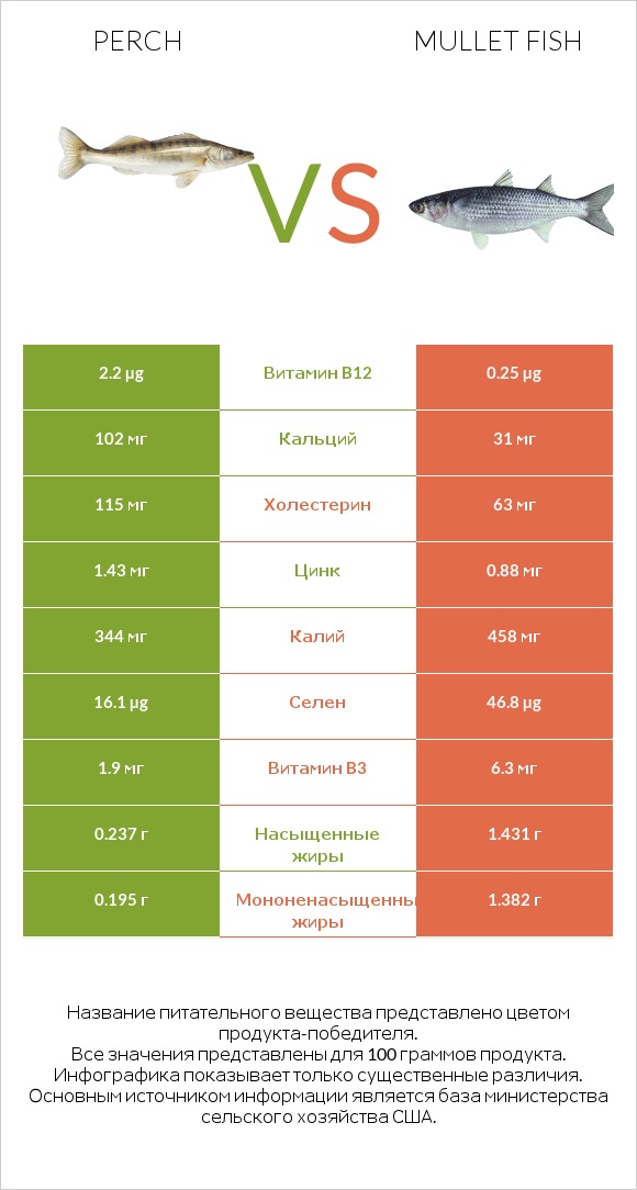 Perch vs Mullet fish infographic