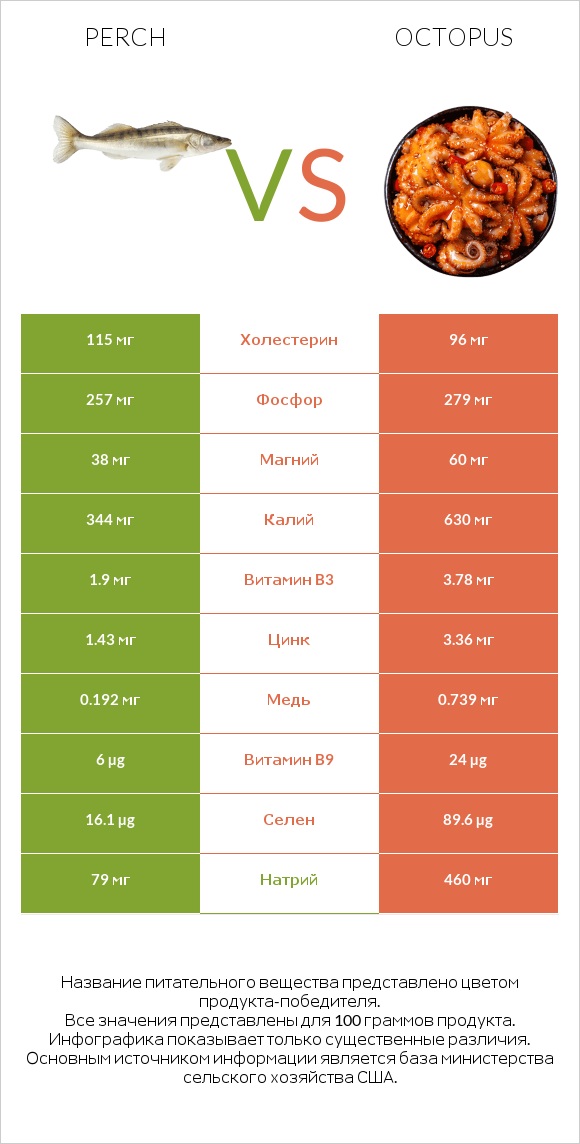 Perch vs Octopus infographic