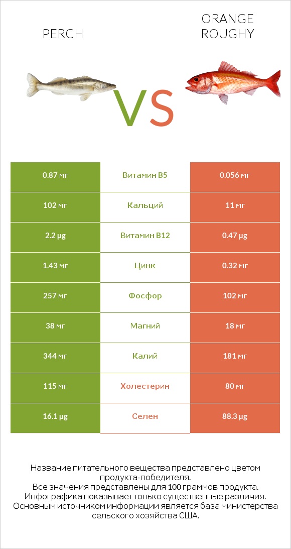 Perch vs Orange roughy infographic