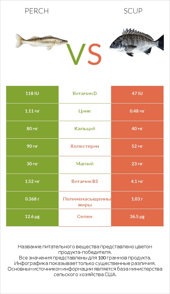 Perch vs Scup infographic