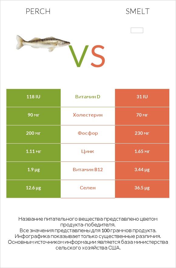 Perch vs Smelt infographic