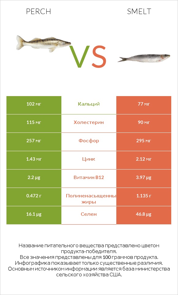 Perch vs Smelt infographic