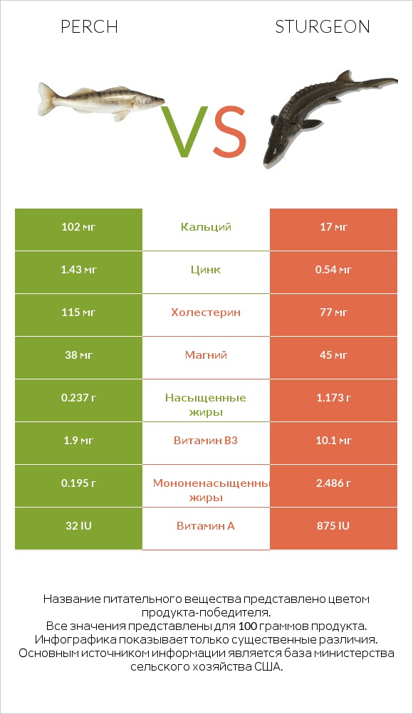 Perch vs Sturgeon infographic