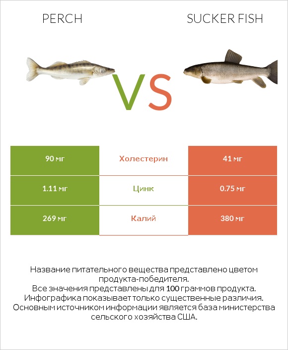 Perch vs Sucker fish infographic