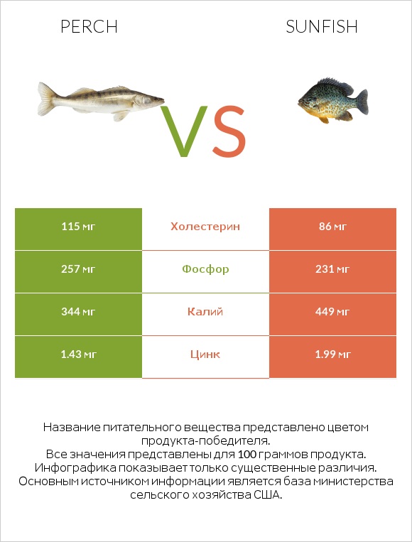 Perch vs Sunfish infographic