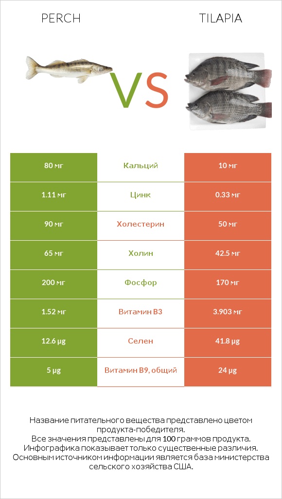 Perch vs Tilapia infographic