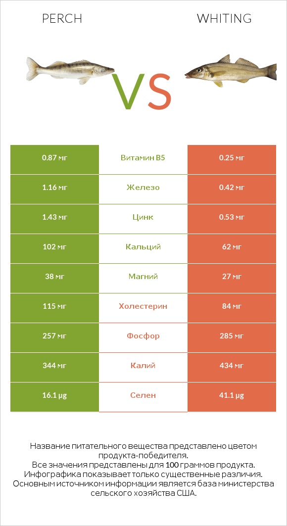 Perch vs Whiting infographic