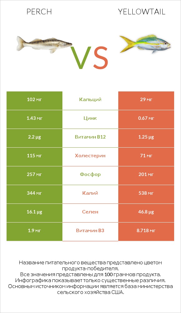 Perch vs Yellowtail infographic