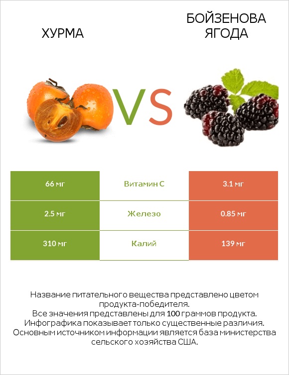 Хурма vs Бойзенова ягода infographic