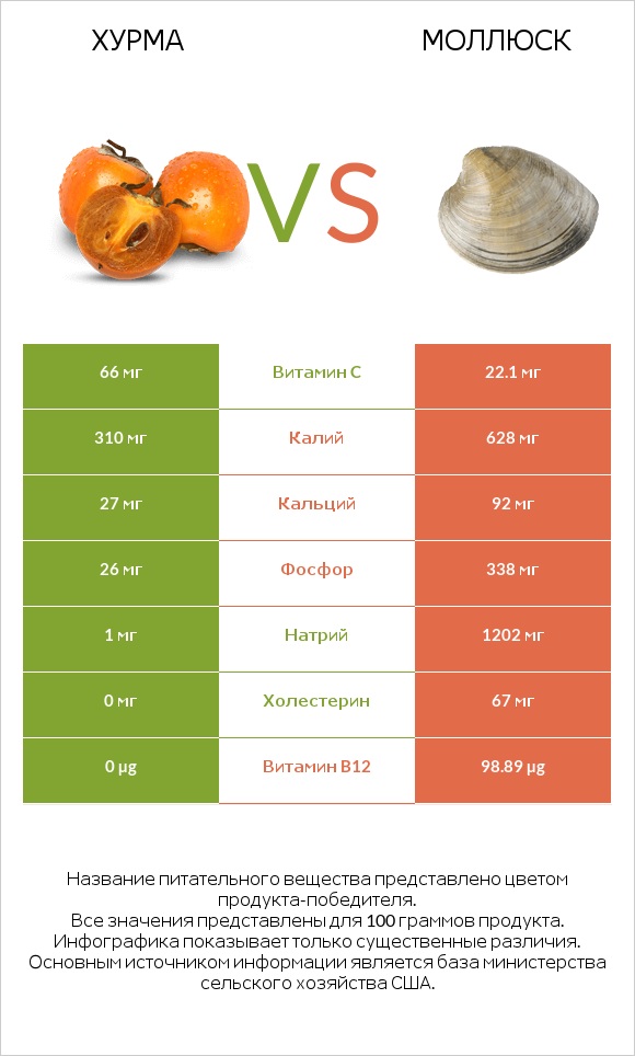 Хурма vs Моллюск infographic