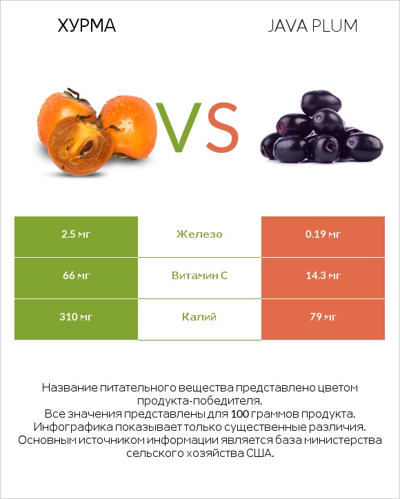 Хурма vs Java plum infographic