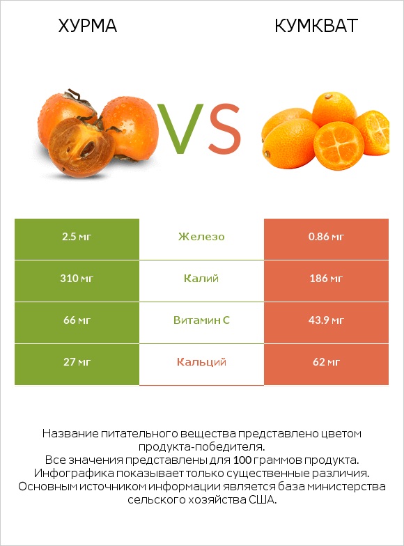 Хурма vs Кумкват infographic