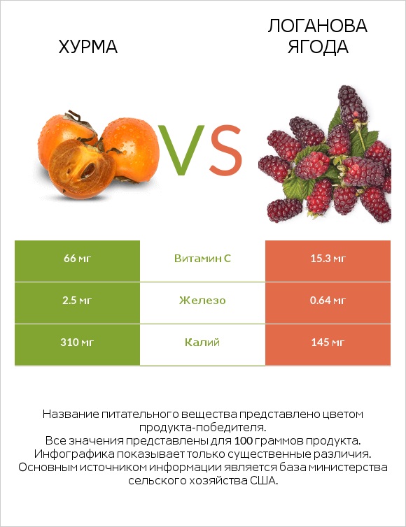 Хурма vs Логанова ягода infographic