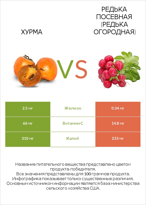 Хурма vs Редька посевная (Редька огородная) infographic