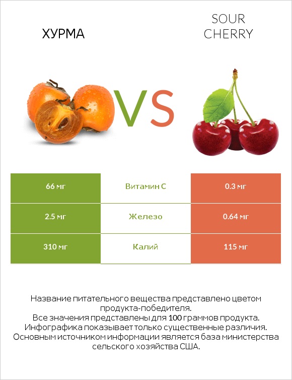 Хурма vs Sour cherry infographic