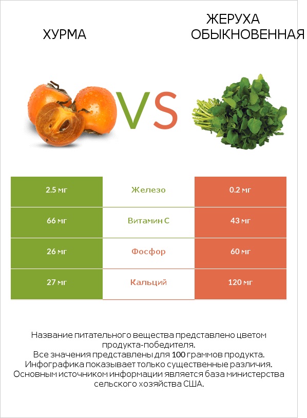 Хурма vs Жеруха обыкновенная infographic