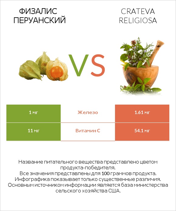 Физалис перуанский vs Crateva religiosa infographic