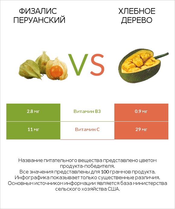 Физалис перуанский vs Хлебное дерево infographic