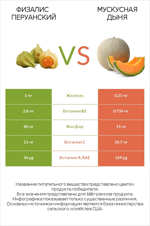 Физалис перуанский vs Мускусная дыня infographic