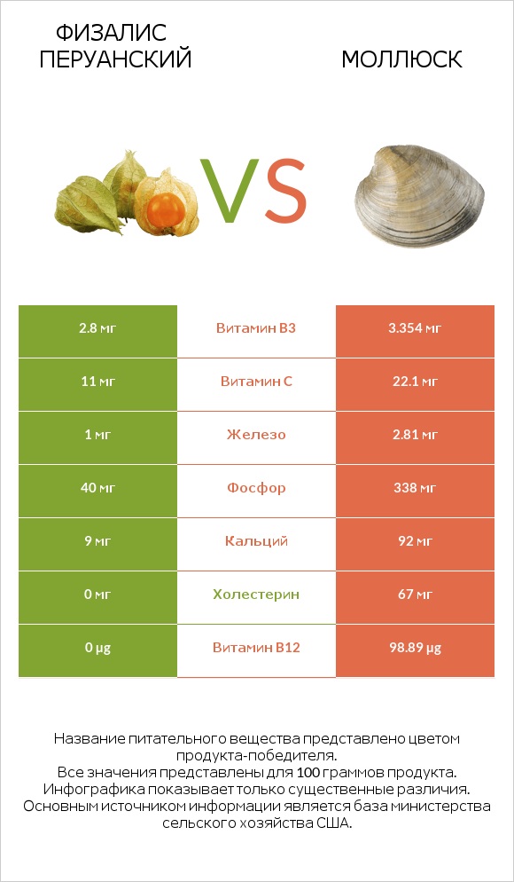 Физалис перуанский vs Моллюск infographic