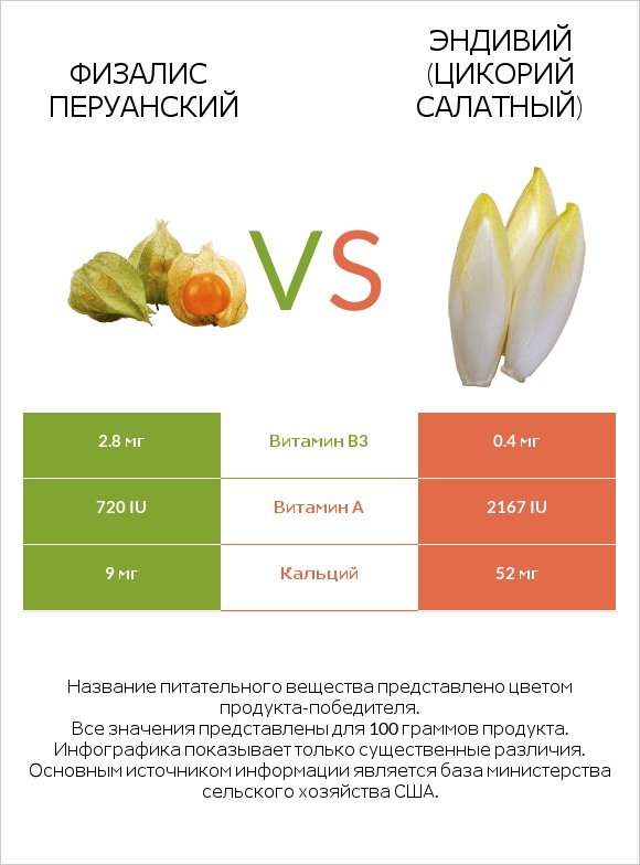 Физалис перуанский vs Эндивий (Цикорий салатный)  infographic