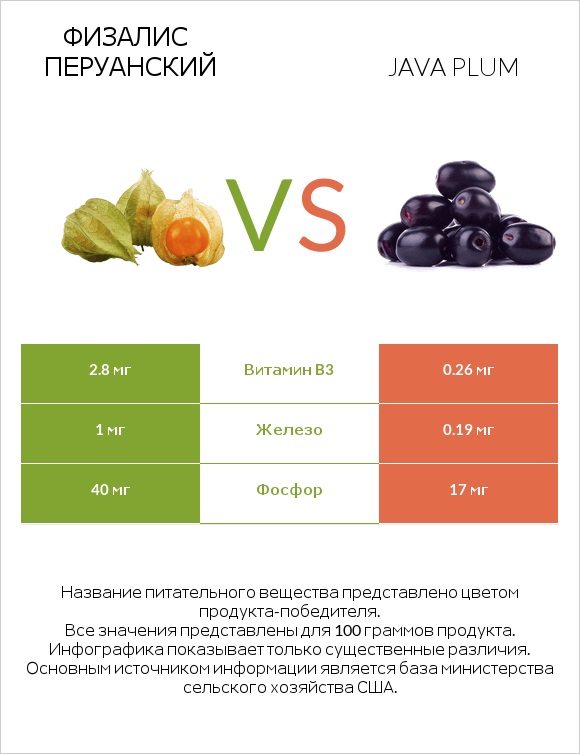 Физалис перуанский vs Java plum infographic