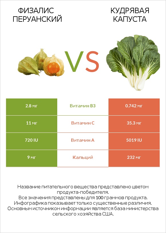 Физалис перуанский vs Кудрявая капуста infographic