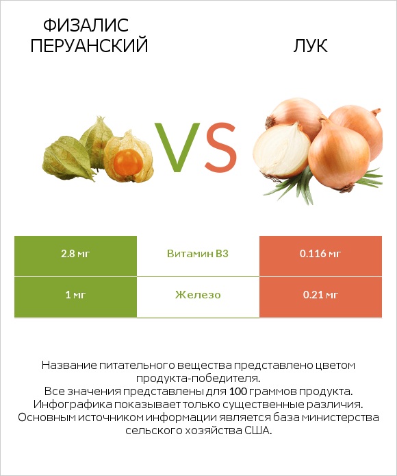 Физалис перуанский vs Лук репчатый infographic