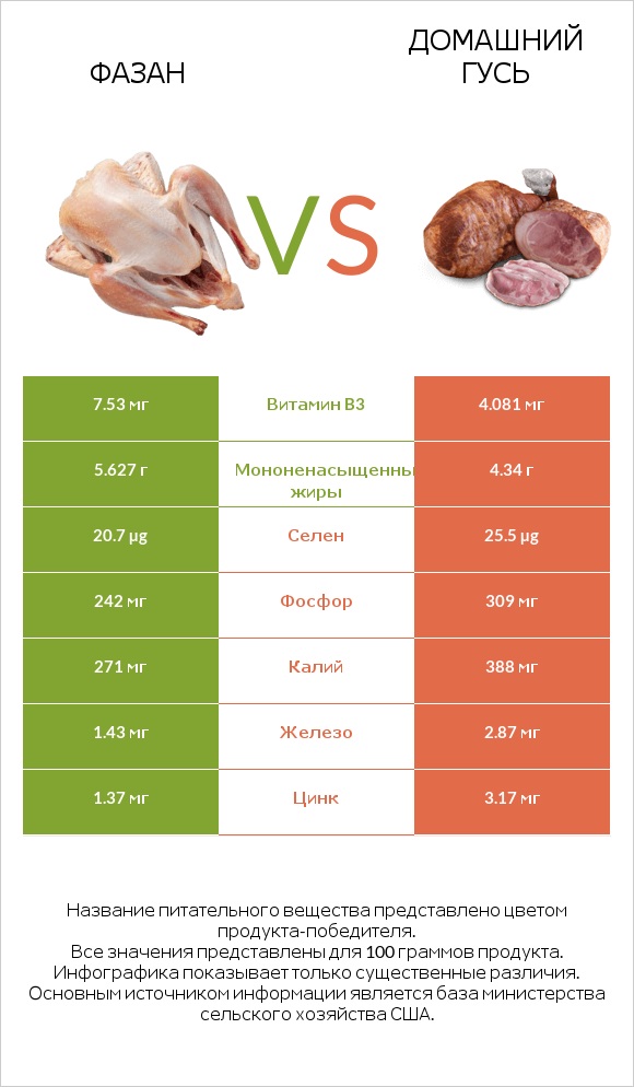 Фазан vs Домашний гусь infographic