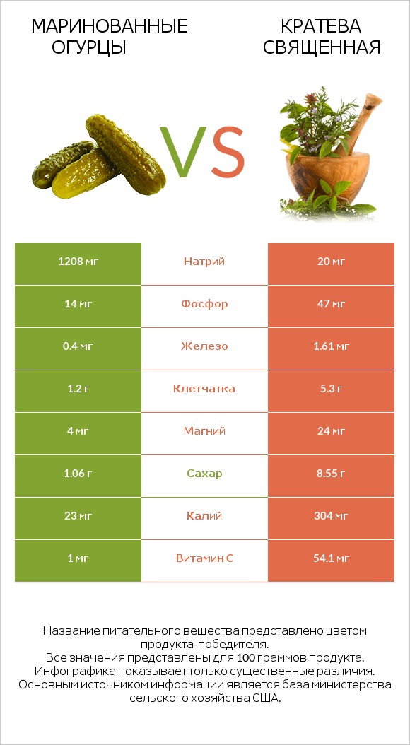 Маринованные огурцы vs Кратева священная infographic
