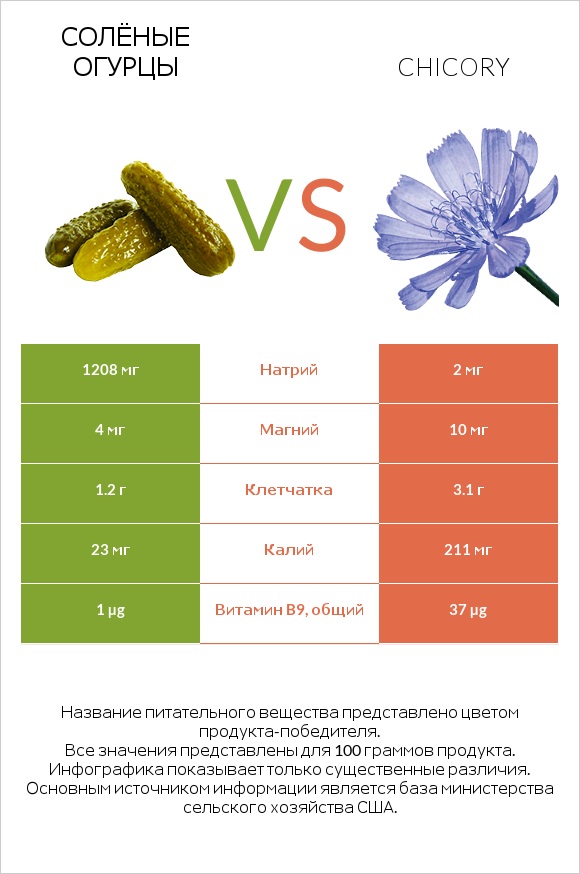 Солёные огурцы vs Chicory infographic