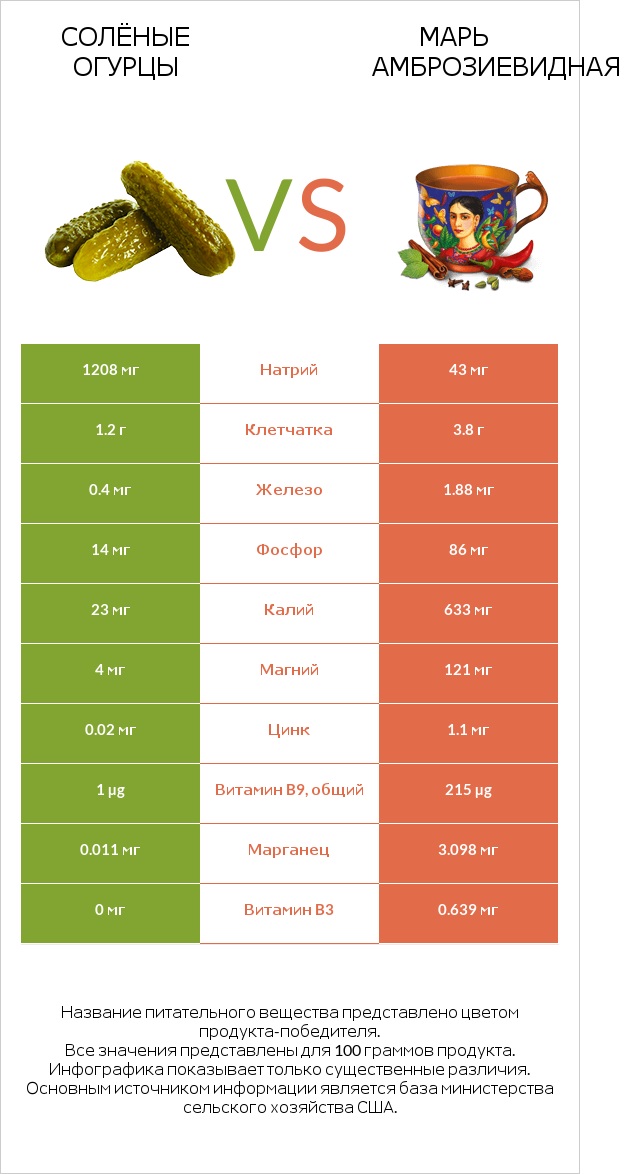 Солёные огурцы vs Марь амброзиевидная infographic