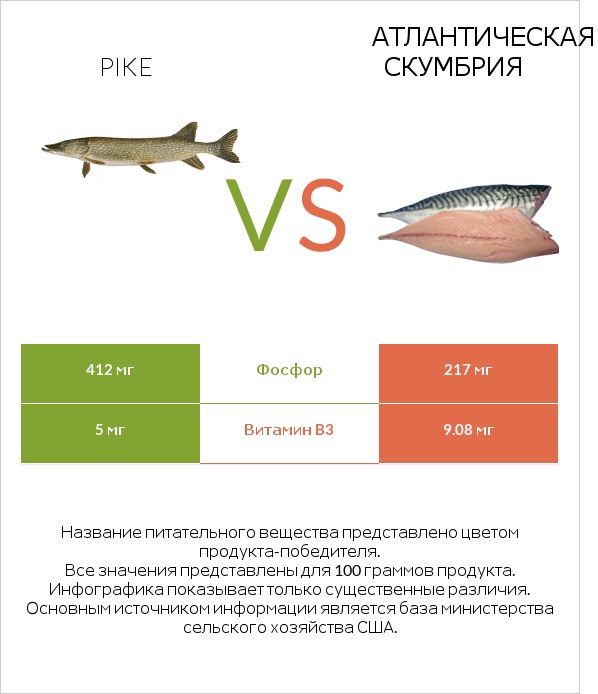 Pike vs Атлантическая скумбрия infographic