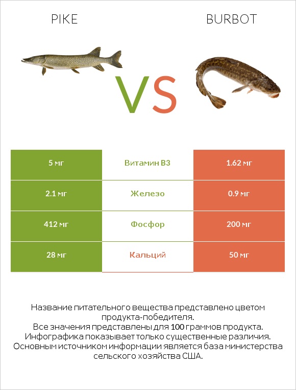 Pike vs Burbot infographic