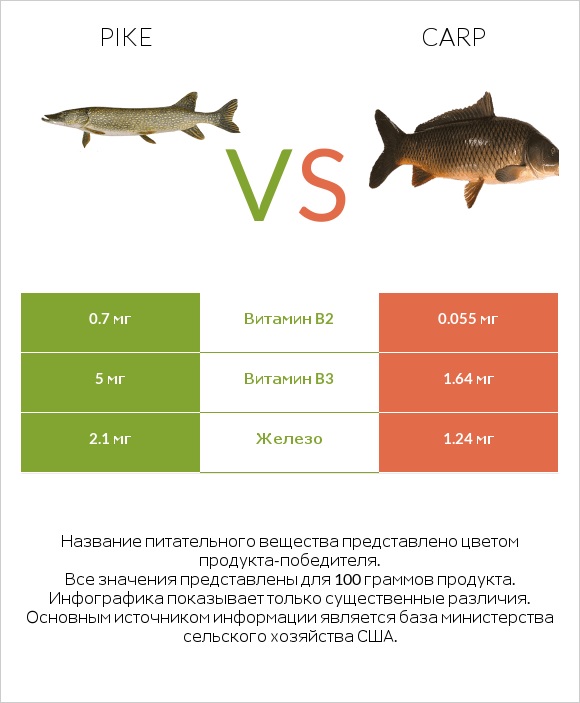 Pike vs Carp infographic