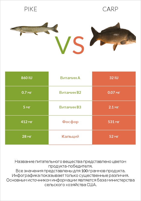 Pike vs Carp infographic