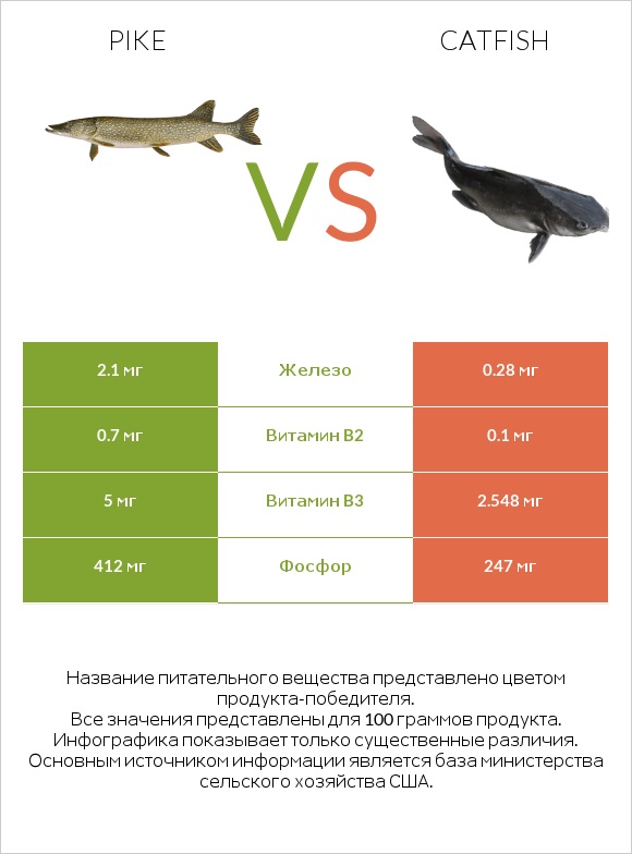 Pike vs Catfish infographic