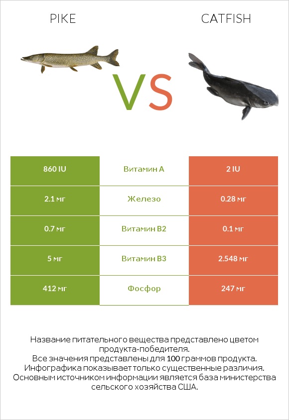 Pike vs Catfish infographic