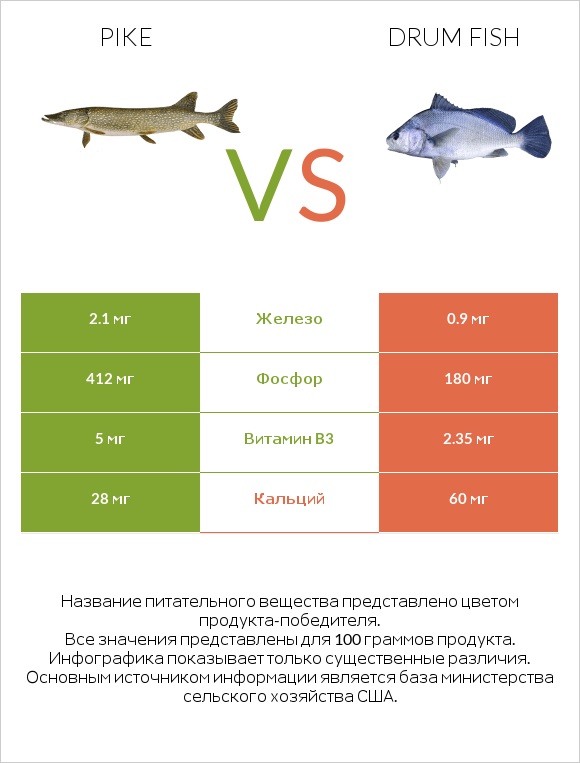 Pike vs Drum fish infographic