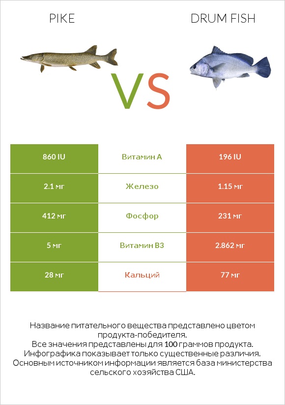 Pike vs Drum fish infographic